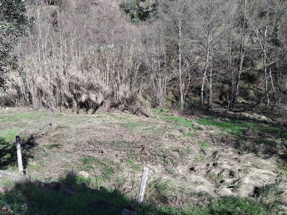 Terreno a beira da ribeira!