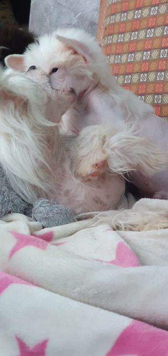 Чудовий голий хлопець чекає свою родину. Народився 26.10.2025