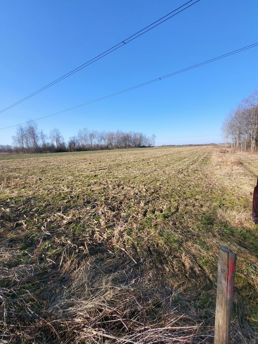 Sprzedam pole orne klasy 3 Gmina Świlcza o powierzchni 57 arów 111000