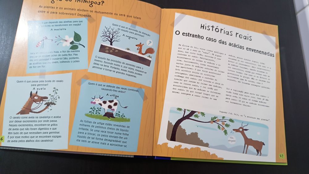 Pequenos Cientistas. Experiências com as plantas