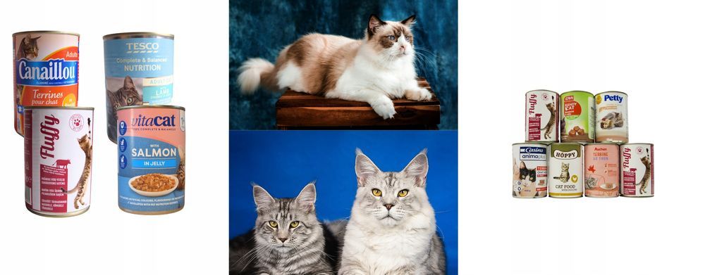 20 Szt. X 400G Karma Mokra Dla Kota Puszka Pakiet  Mix Smaków