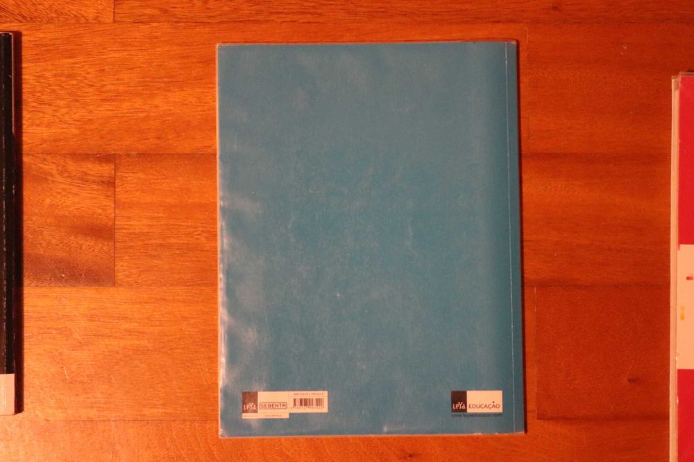 Manual + CA de Inglês "Bridges 11"