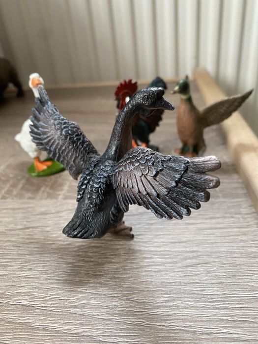 Набір розвиваючий домашні птахи