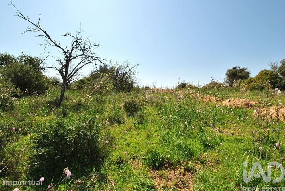 Terreno Agrícola em Paderne