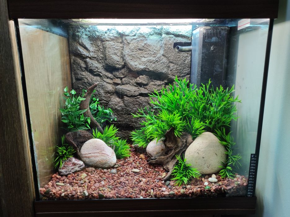 Обслуживание аквариумов.Услуги аквариумиста.