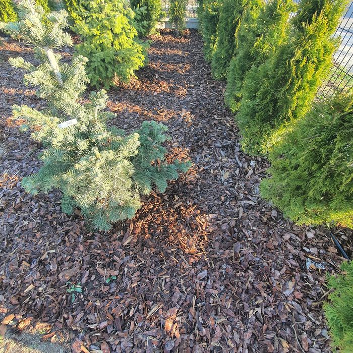 Kora sosnowa workowana 80l