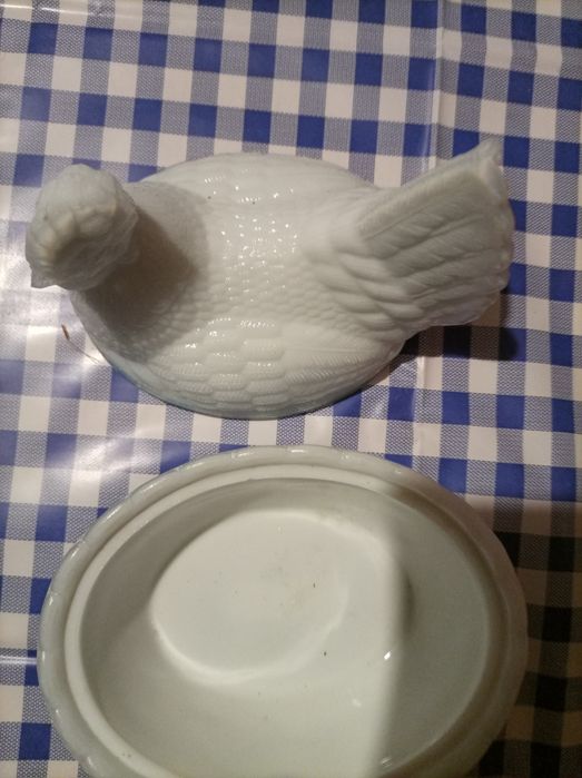 Ząbkowice kurka mleczna mała