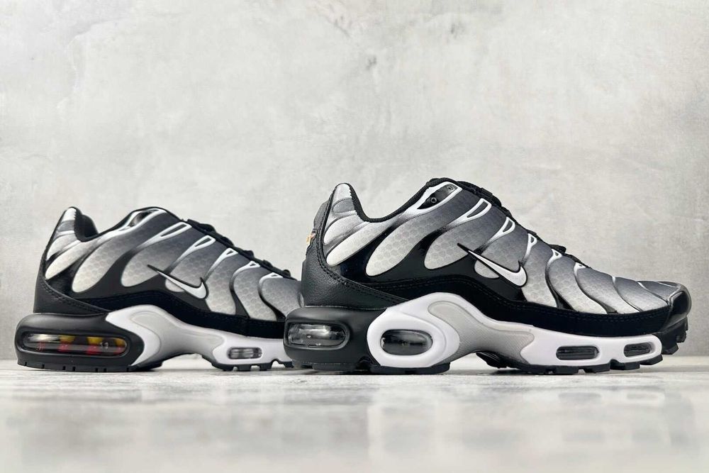 Air_Max_TN_Plus 41