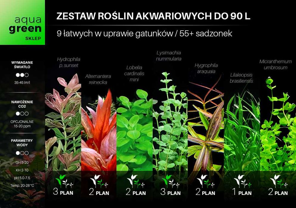 Zestaw roślin do akwarium - duży - 9+ gatunków + GRATISY