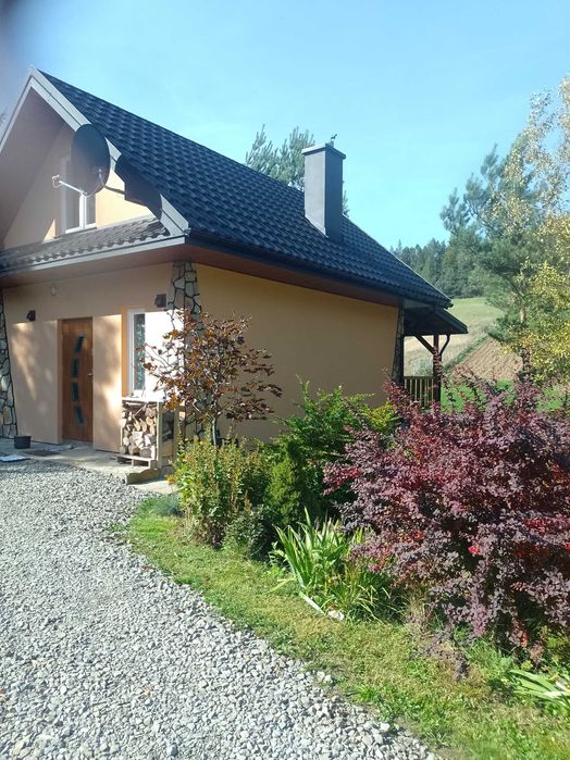 Wynajmę domek całoroczny.