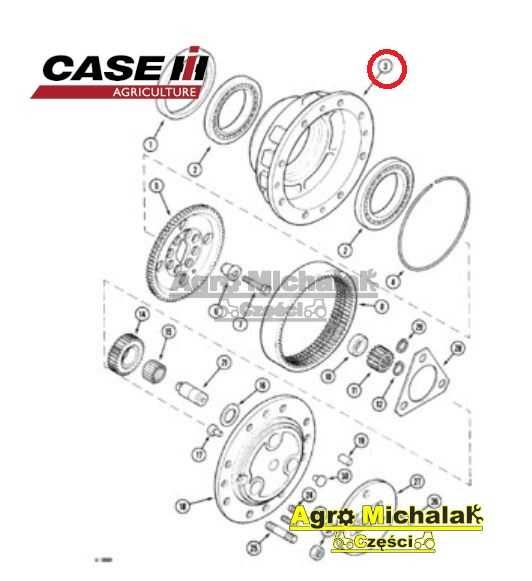 Układ planetarny piasta koła Case 5120, 1494, 1394, carraro