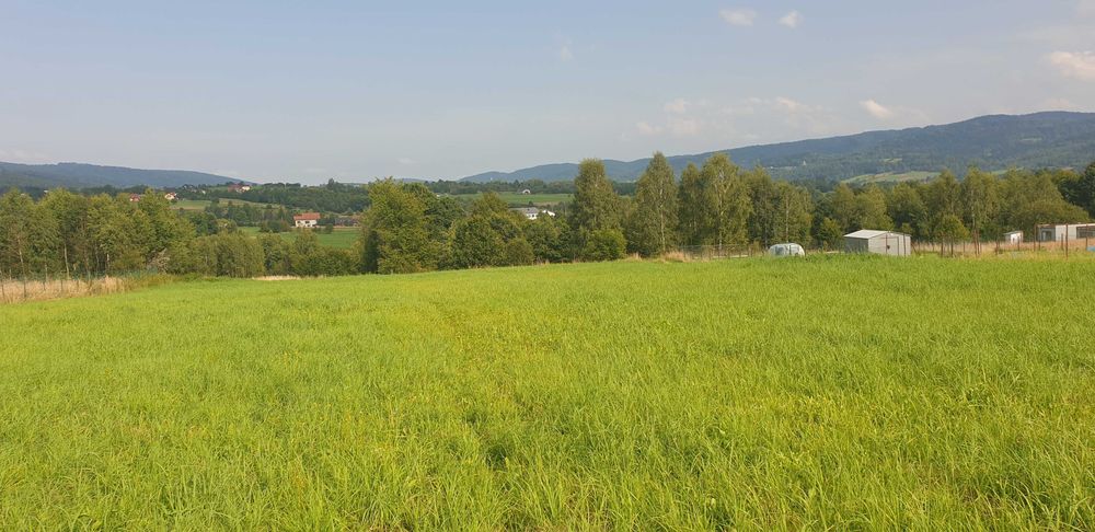 Zdjęcie 3