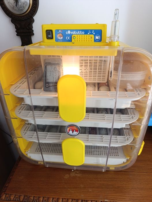 Profesjonalny inkubator lęgowy