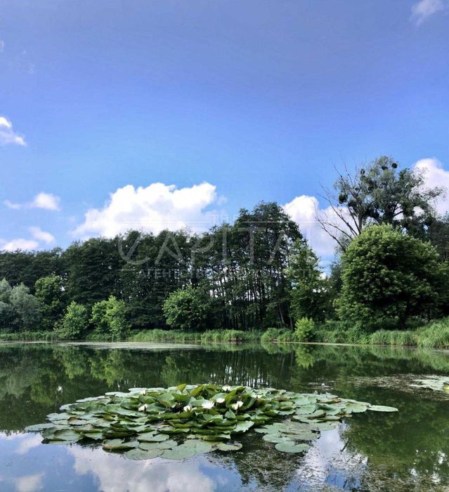 Продаж земельної ділянки, Мархалівка, Фастівський район