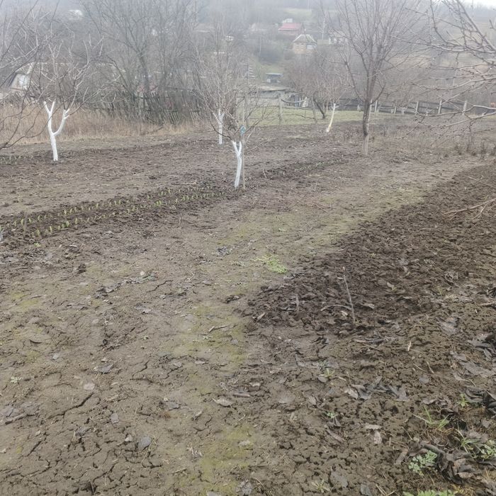 Продаю небольшой домик в живописном р-не с.Озеряни  возле г  Мерефа