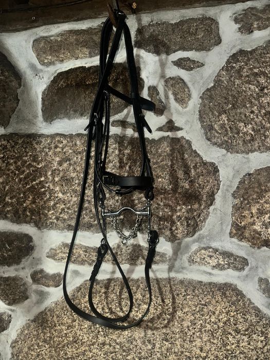 Arreios para cavalos