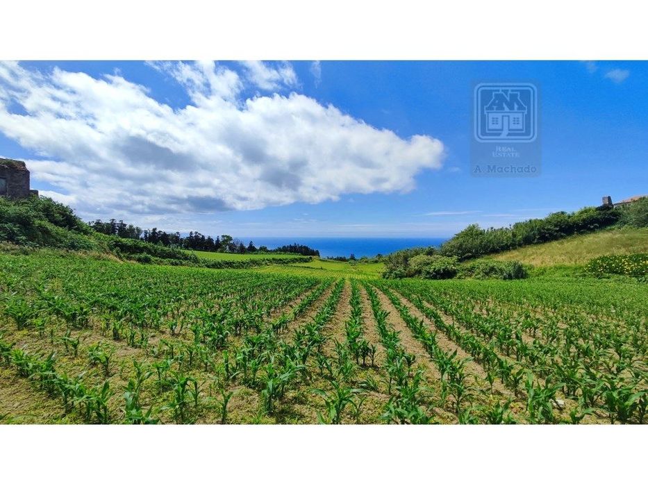 VENDA de TERRENO rústico com vista mar - Ribeira Funda, Fenais da A...
