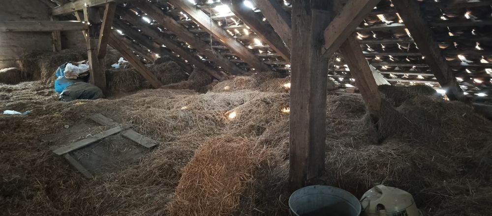 Słoma do wzięcia
