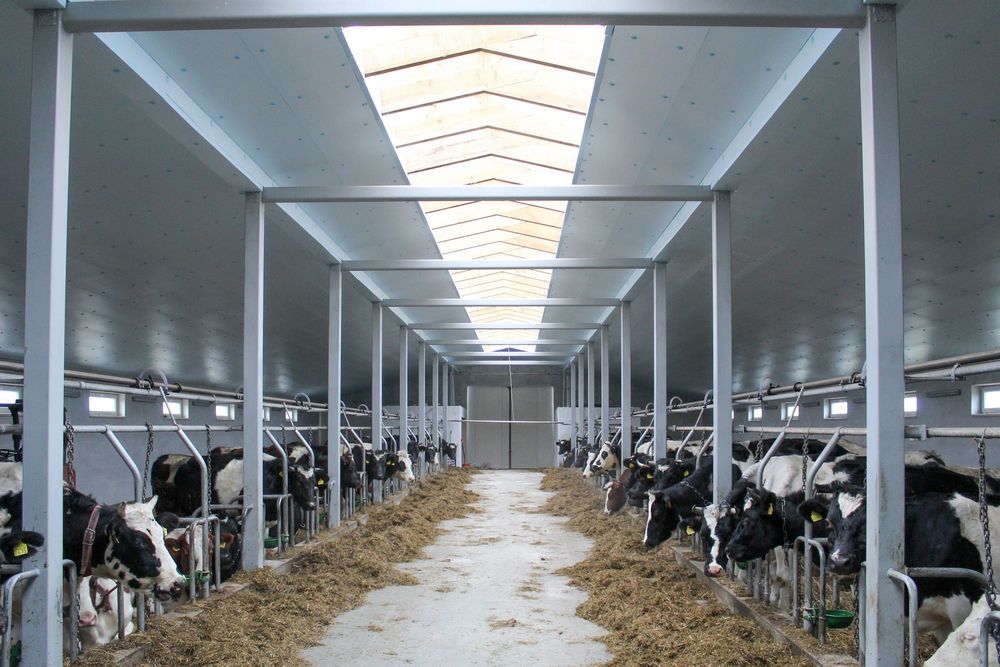 Izolacja Termiczna Ocieplenie do Obory Kurnika Hali Styrodur XPS AGRO