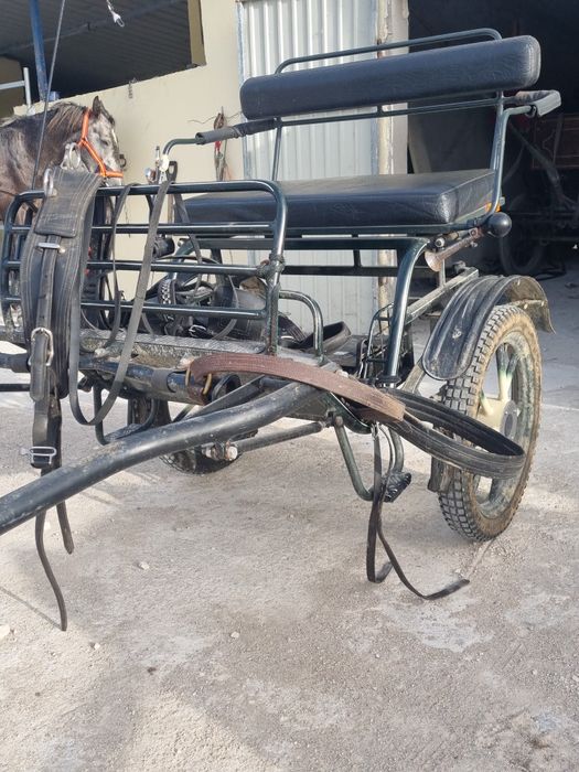 Charrete de 2 rodas para cavalos