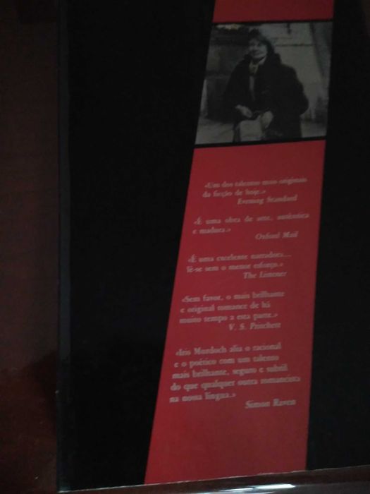 Iris Murdoch - Os olhos da aranha