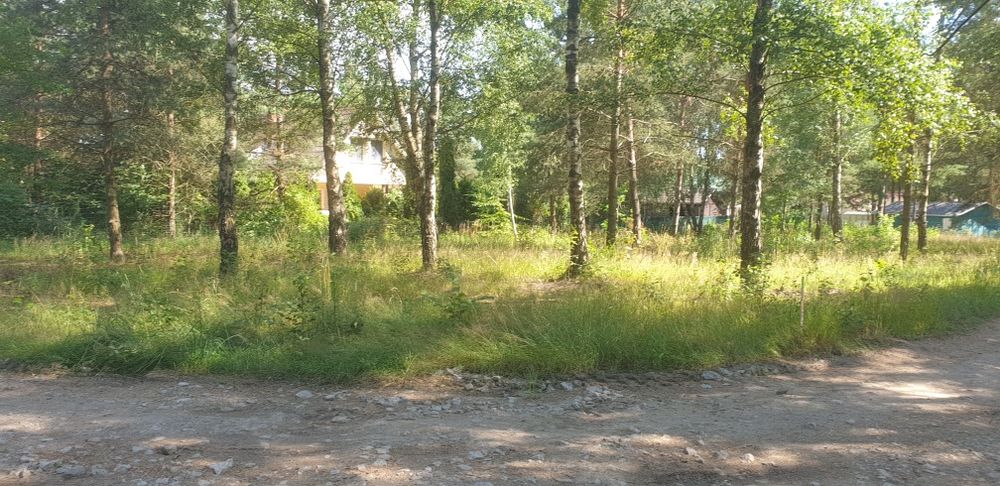 Działki rekreacyjne, letniskowe
