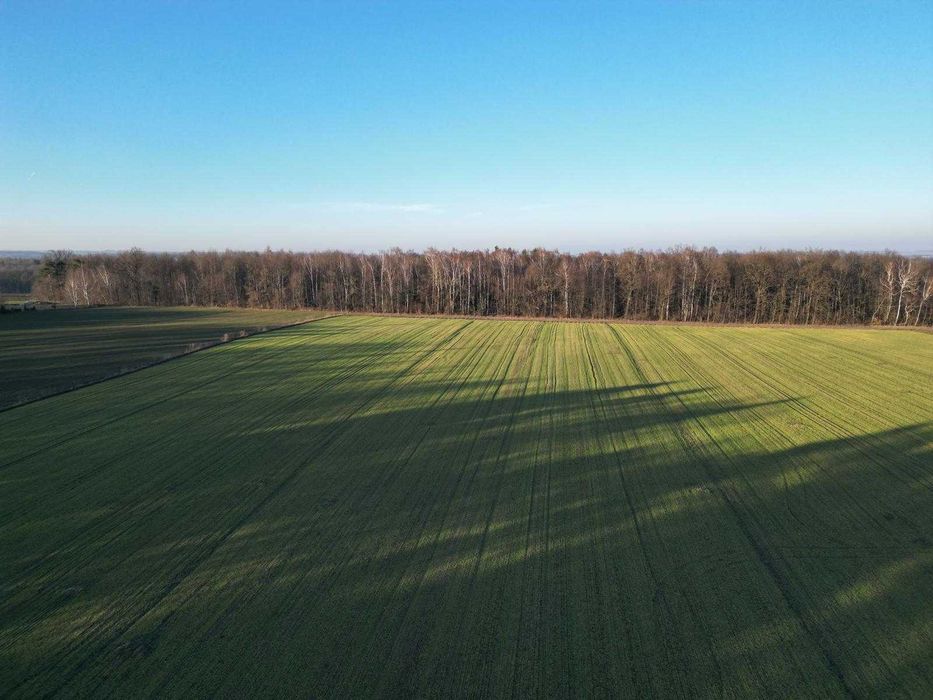 Działka budowlana 29ar, Barbarka, gm. Skała