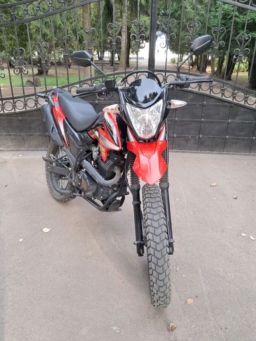 Лонсін прус в хорошому стані