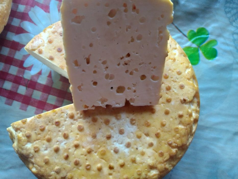Коники,косічки,мотанки із сиру
