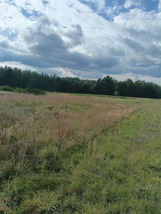 Działka 1729 m Wierzbica k Radomska, pozwolenie na budowe - Widok 3