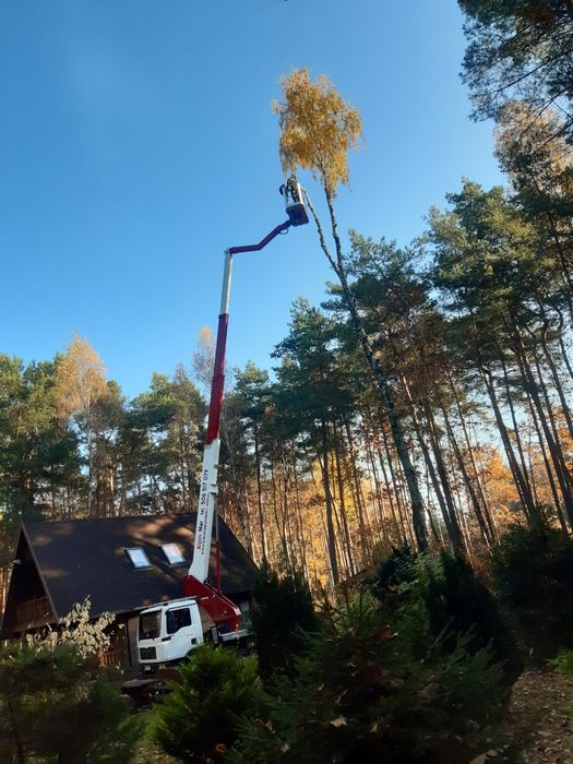 podnośnik koszowy wycinka drzew mycie dachów