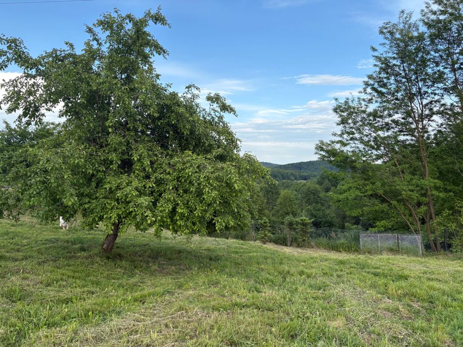 Kwaczała działka 4948 m²ogrodzona z mediami, garażem i ogrodem 5min a4