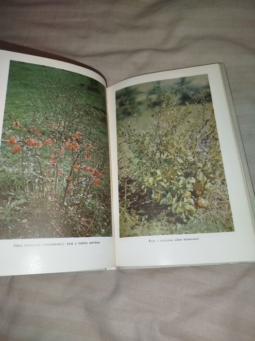 Андрієнко, Роман - Малопоширені ягідні і плодові культури