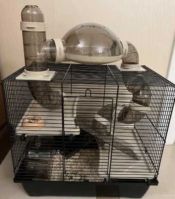 Клітка для хом'яка з колесом