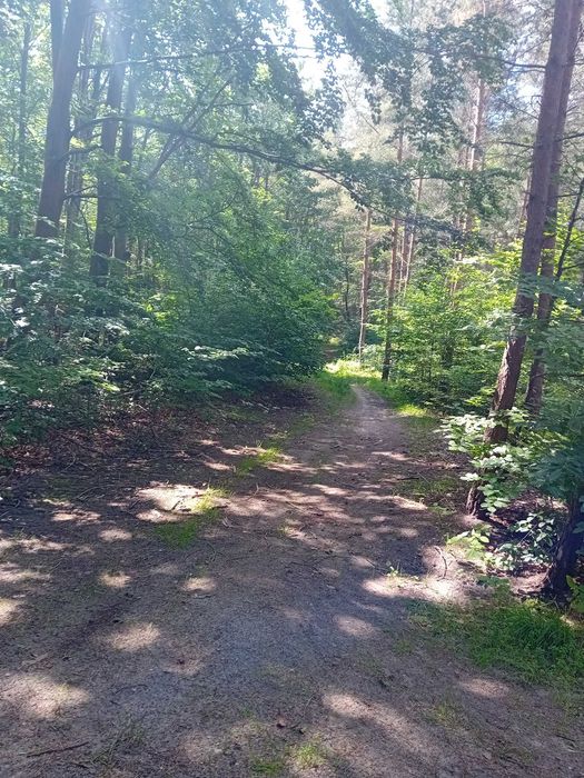 mieszkania w Rumi  2-pokojowe około 41m² z balkonem  świeżo oddane do użytku 1700zł