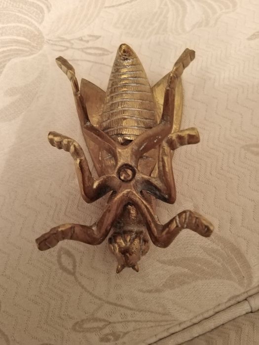 Mosca em Bronze que se abre