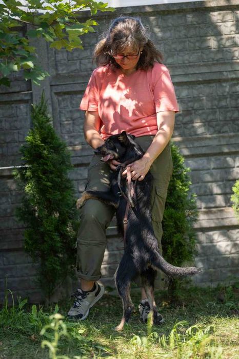 088925 Gaspar do adopcji