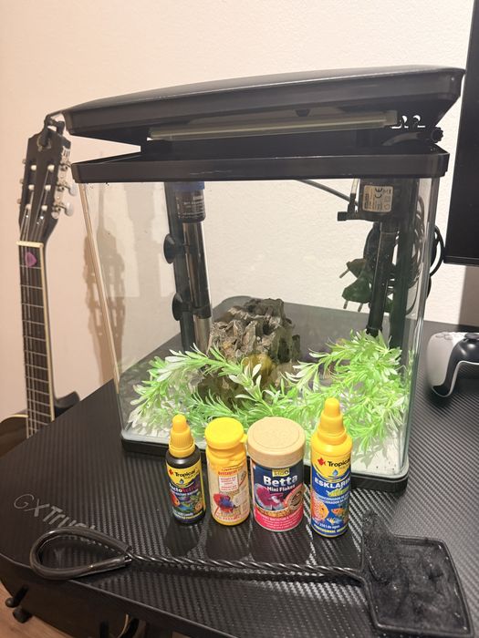Vendo aquário completo 15 litros, com Rocha, bomba, aquecedor, termostato, iluminação, decoração de plantas artificial.