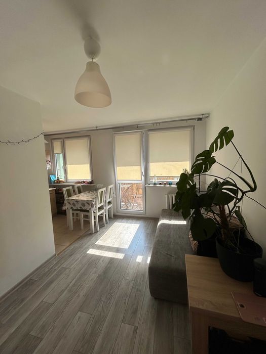 Mieszkanie – Wrocław, Gaj - Widok 5