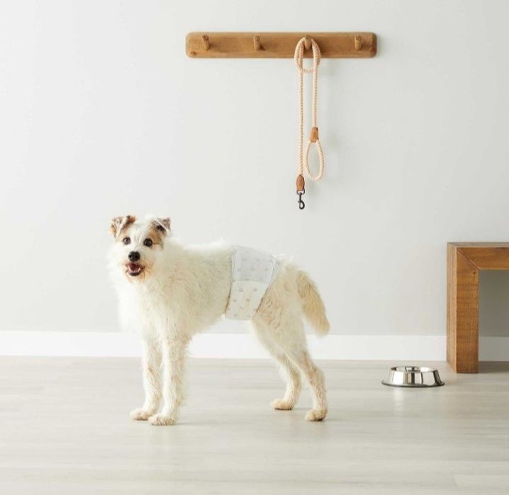 Amazon Basic pieluchy dla psa rozmiar M 50 sztuk