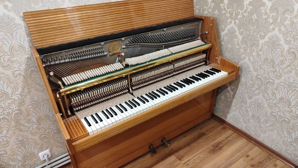 Фортепіано.Піаніно.(Zimmermann).