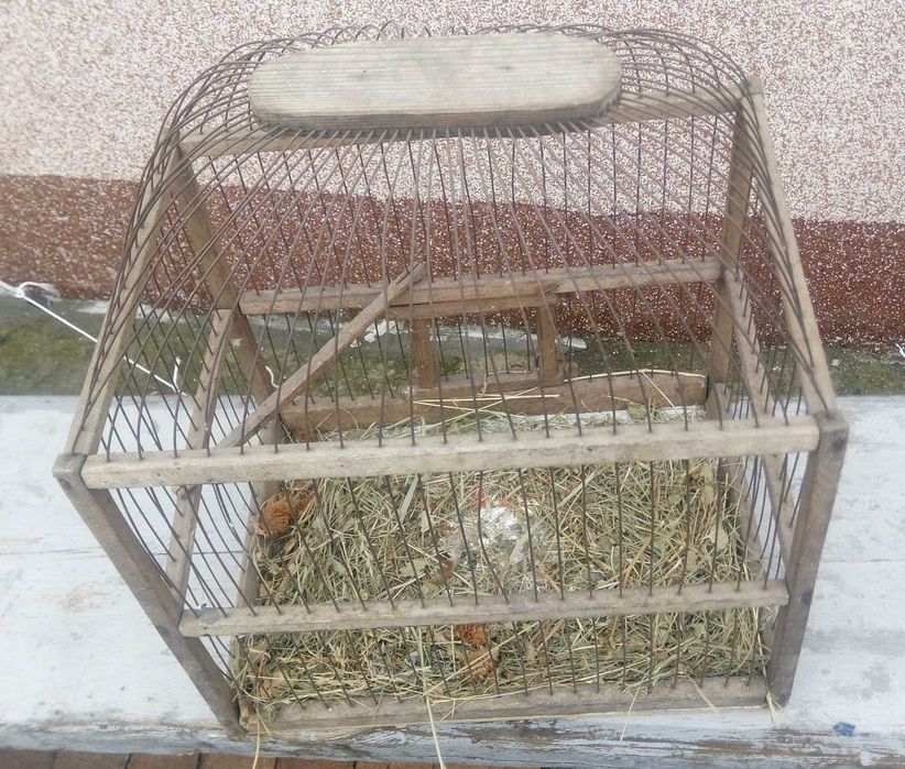 Клетка Для птичек