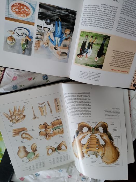 O Corpo Humano em 15 volumes