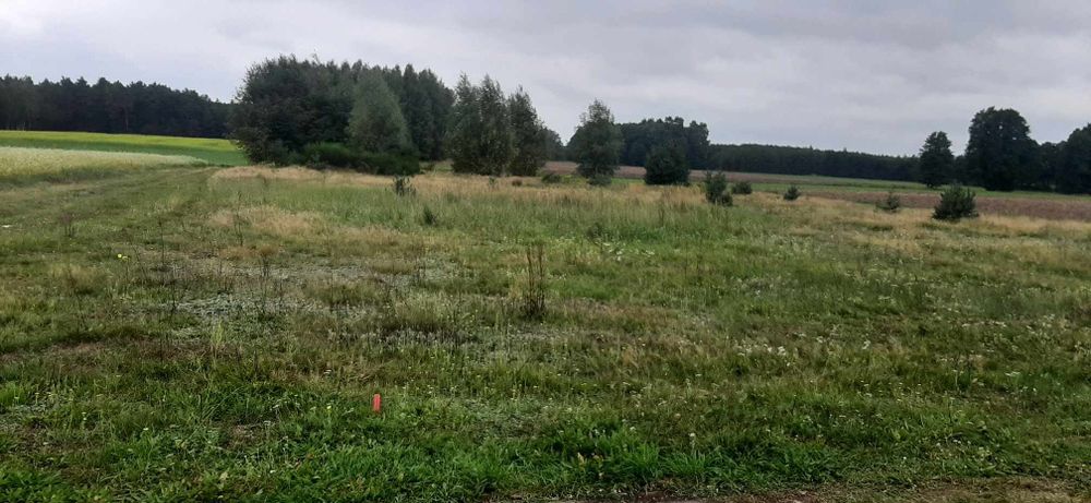 Działka budowlana Stanisławów Nowy - Widok 6