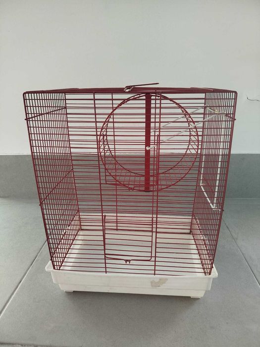 Gaiola para pássaros / esquilo