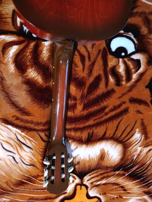 Gitara klasyczna C-2 (struny nylonowe) + pokrowiec