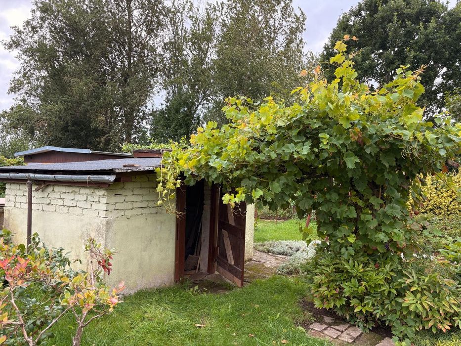 Działka ROD ASTER – 550 m², murowany domek, prąd, woda - Więcej