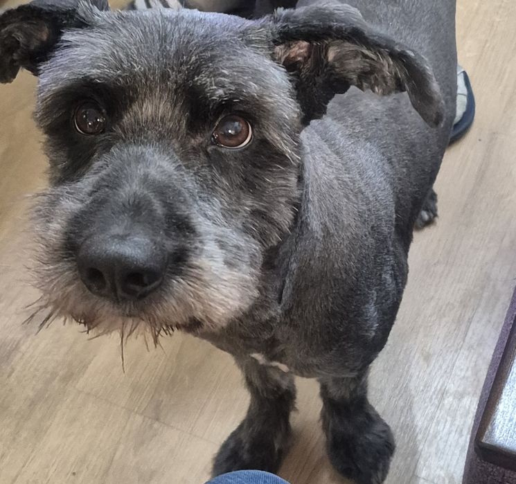 PILNIE To właśnie mnie  szukasz