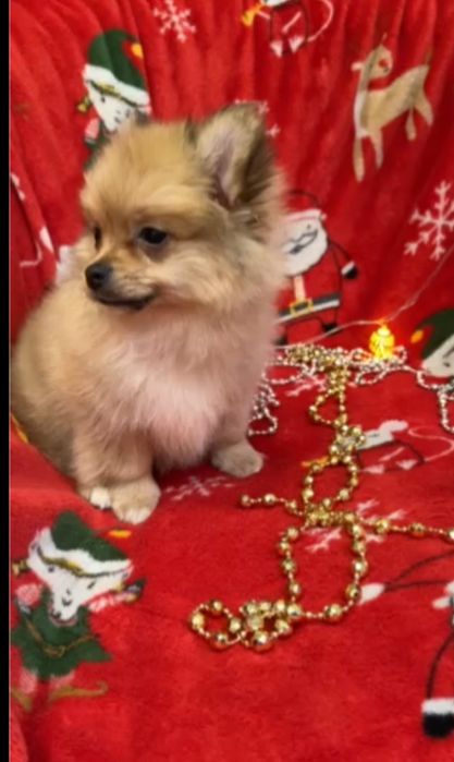 Чудо хлопчик для душі