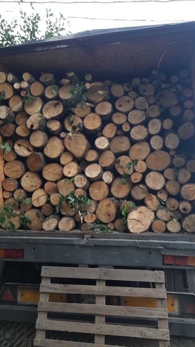 Дрова колоті, обрізь  дуба, вугілля.